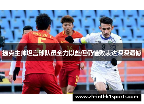 捷克主帅坦言球队虽全力以赴但仍惜败表达深深遗憾