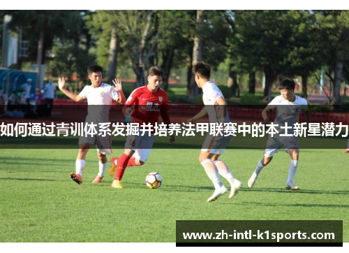 如何通过青训体系发掘并培养法甲联赛中的本土新星潜力